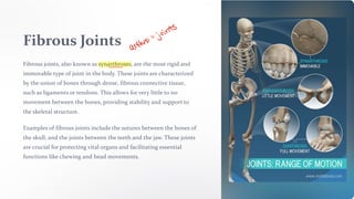 1. Introduction+to+the+Musculoskeletal+system.pdf