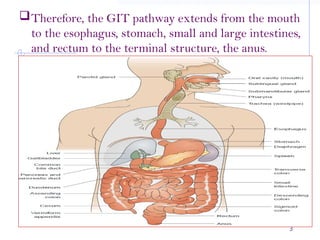1.1. GIT disorders.pptxhgfghjnvcghbbbbbhj | PPTX