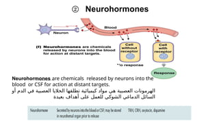 An Overview of Chemical Bioregulation in Vertebrates | PPTX
