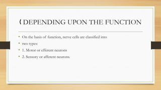 DEPENDING UPON THE
„ FUNCTION
• On the basis of function, nerve cells are classified into
• two types:
• 1. Motor or efferent neurons
• 2. Sensory or afferent neurons.
 