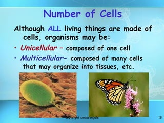 1. Cell theory and structure Basisc Of Cytology | PPTX