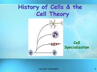 1. Cell theory and structure Basisc Of Cytology | PPTX