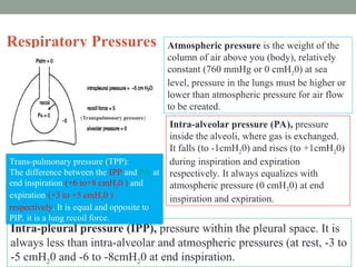 Respiratory Respiratory system - Physiology.ppt