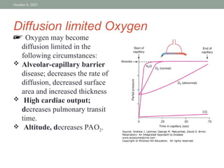 O2 Diffusion Limitation Respiratory Respiratory system - Physiology.ppt