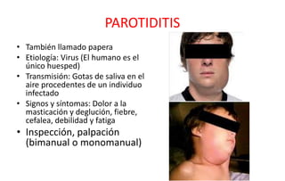 1._CAVIDAD_BUCAL_GLÁNDULAS_SALIVALES_Y_ESÓFAGO[1].pdf