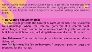 1. EPP-Methods of Harvesting Fish.pptxmm | PPTX