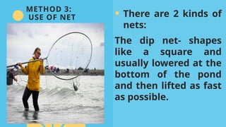 1. EPP-Methods of Harvesting Fish.pptxmm | PPTX