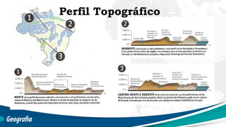 Perfil Topográfico
 