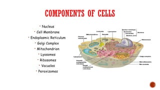 STRUCTURE AND FUNCTION OF CELL PART 1.pptx