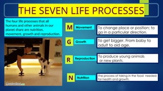 science different animals Life processes.pptx