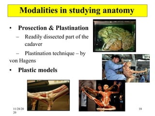 1. Human Body and Anatomical Terminologies.pdf