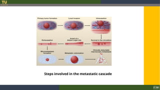 1. Molecular basis of cancer (1).ppt...... | PPT