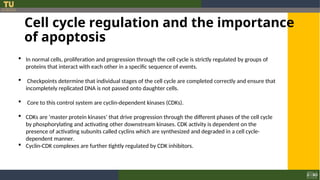 1. Molecular basis of cancer (1).ppt...... | PPT