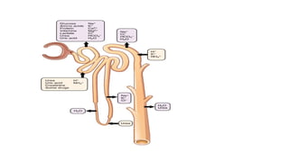 1.Renal handling of drugs.pptx pharmacology | PPTX