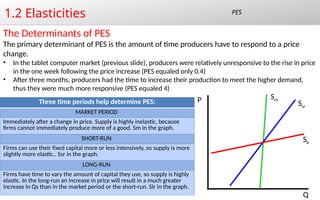 Introduction to Elasticities PED XED YED | PPTX