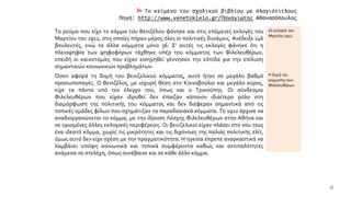  Το κείμενο του σχολικού βιβλίου με πλαγιότιτλους
Πηγή: http://www.venetokleio.gr/Παναγιώτης Αθανασόπουλος
Το ρεύμα που είχε το κόμμα του Βενιζέλου φάνηκε και στις επόμενες εκλογές του
Μαρτίου του 1912, στις οποίες πήραν μέρος όλες οι πολιτικές δυνάμεις. Ανέδειξε 146
βουλευτές, ενώ τα άλλα κόμματα μόνο 36. Σ' αυτές τις εκλογές φάνηκε ότι η
πλειοψηφία των ψηφοφόρων τάχθηκε υπέρ του κόμματος των Φιλελευθέρων,
επειδή οι καινοτομίες που είχαν εισηγηθεί γέννησαν την ελπίδα για την επίλυση
σημαντικών κοινωνικών προβλημάτων.
Όσον αφορά τη δομή του βενιζελικού κόμματος, αυτό ήταν σε μεγάλο βαθμό
προσωποπαγές. Ο Βενιζέλος, με ισχυρή θέση στο Κοινοβούλιο και μεγάλο κύρος,
είχε τα πάντα υπό τον έλεγχο του, όπως και ο Τρικούπης. Οι σύνδεσμοι
Φιλελευθέρων που είχαν ιδρυθεί δεν έπαιζαν κάποιον ιδιαίτερο ρόλο στη
διαμόρφωση της πολιτικής του κόμματος και δεν διέφεραν σημαντικά από τις
τοπικές ομάδες φίλων που σχημάτιζαν τα παραδοσιακά κόμματα. Το 1912 άρχισε να
αναδιοργανώνεται το κόμμα, με την ίδρυση Λέσχης Φιλελευθέρων στην Αθήνα και
σε ορισμένες άλλες εκλογικές περιφέρειες. Οι βενιζελικοί είχαν πλάσει στο νου τους
ένα ιδεατό κόμμα, χωρίς τις μικρότητες και τις διχόνοιες της παλιάς πολιτικής ελίτ,
όμως αυτό δεν είχε σχέση με την πραγματικότητα. Η ηγεσία έπρεπε αναγκαστικά να
λαμβάνει υπόψη κοινωνικά και τοπικά συμφέροντα καθώς και αντιπαλότητες
ανάμεσα σε στελέχη, όπως συνέβαινε και σε κάθε άλλο κόμμα.
Οι εκλογές του
Μαρτίου 1912
Η δομή του
κόμματος των
Φιλελευθέρων
4
 