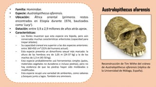 1. Los albores de la humanidad y la evolución humana (OA1) | PDF