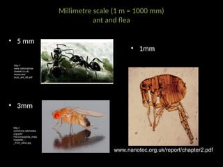 Nano Insect Introduction to nanotechnology and its applications | PPT