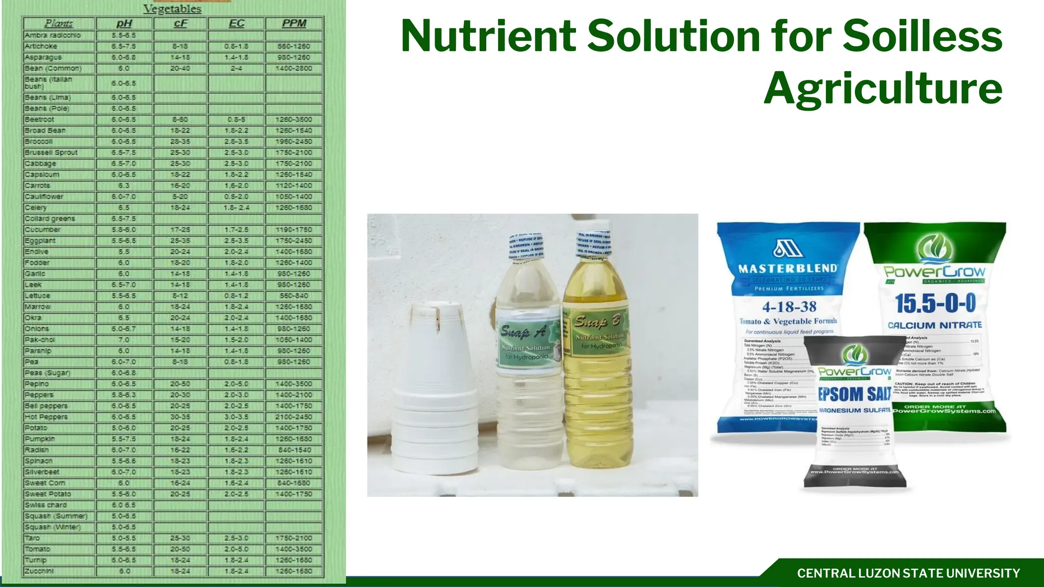 CENTRAL LUZON STATE UNIVERSITY
Nutrient Solution for Soilless
Agriculture
Click to add text
 