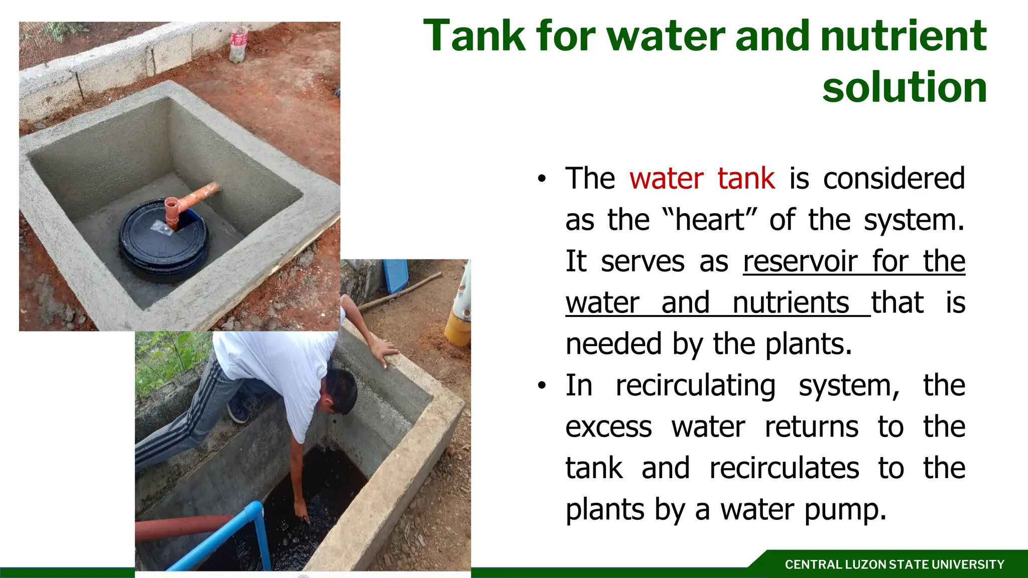 CENTRAL LUZON STATE UNIVERSITY
Tank for water and nutrient
solution
Click to add text
• The water tank is considered
as the “heart” of the system.
It serves as reservoir for the
water and nutrients that is
needed by the plants.
• In recirculating system, the
excess water returns to the
tank and recirculates to the
plants by a water pump.
 