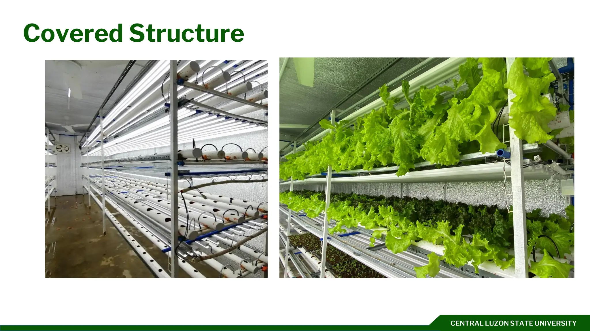 CENTRAL LUZON STATE UNIVERSITY
Covered Structure
 