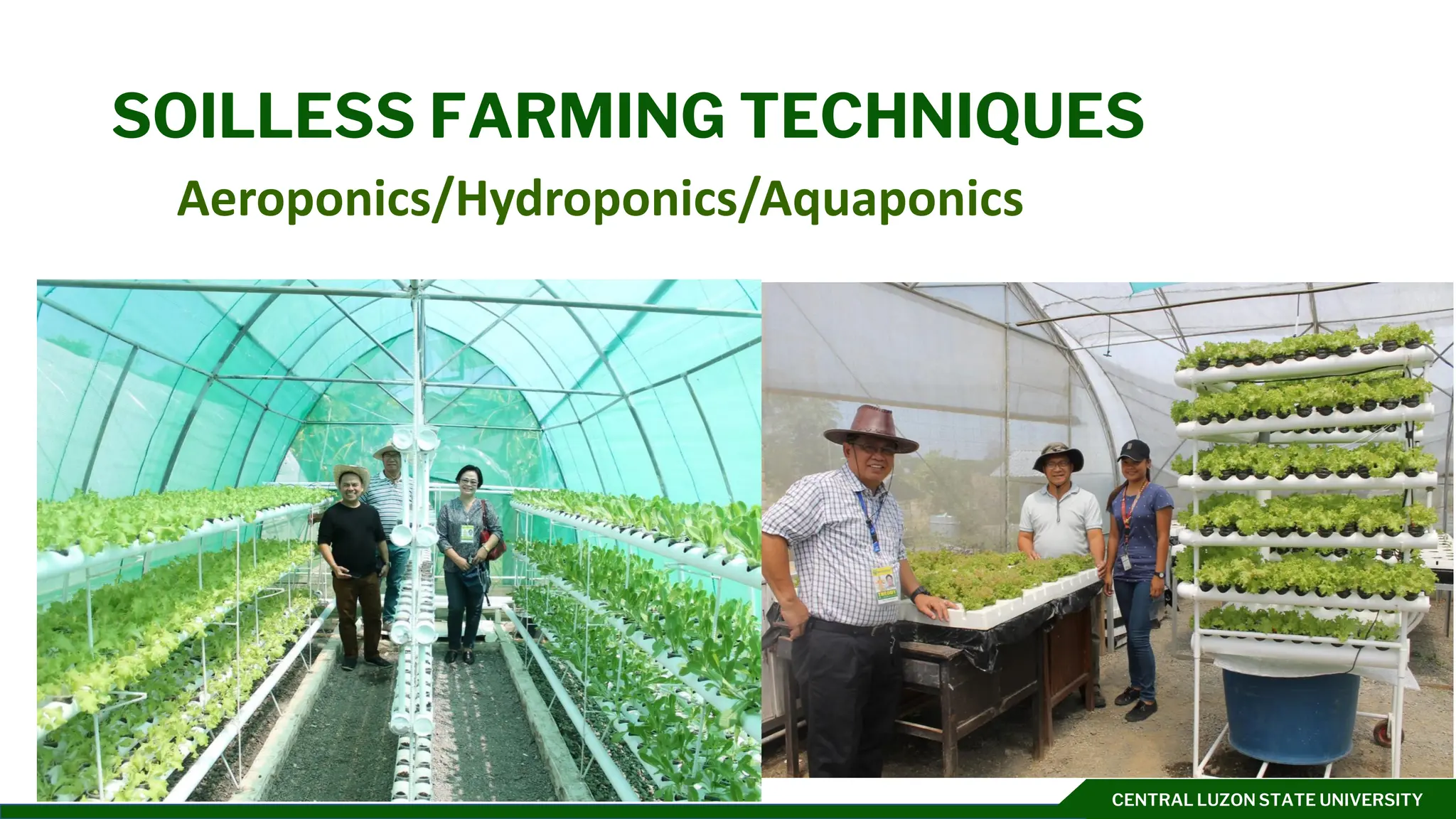 CENTRAL LUZON STATE UNIVERSITY
SOILLESS FARMING TECHNIQUES
Aeroponics/Hydroponics/Aquaponics
 
