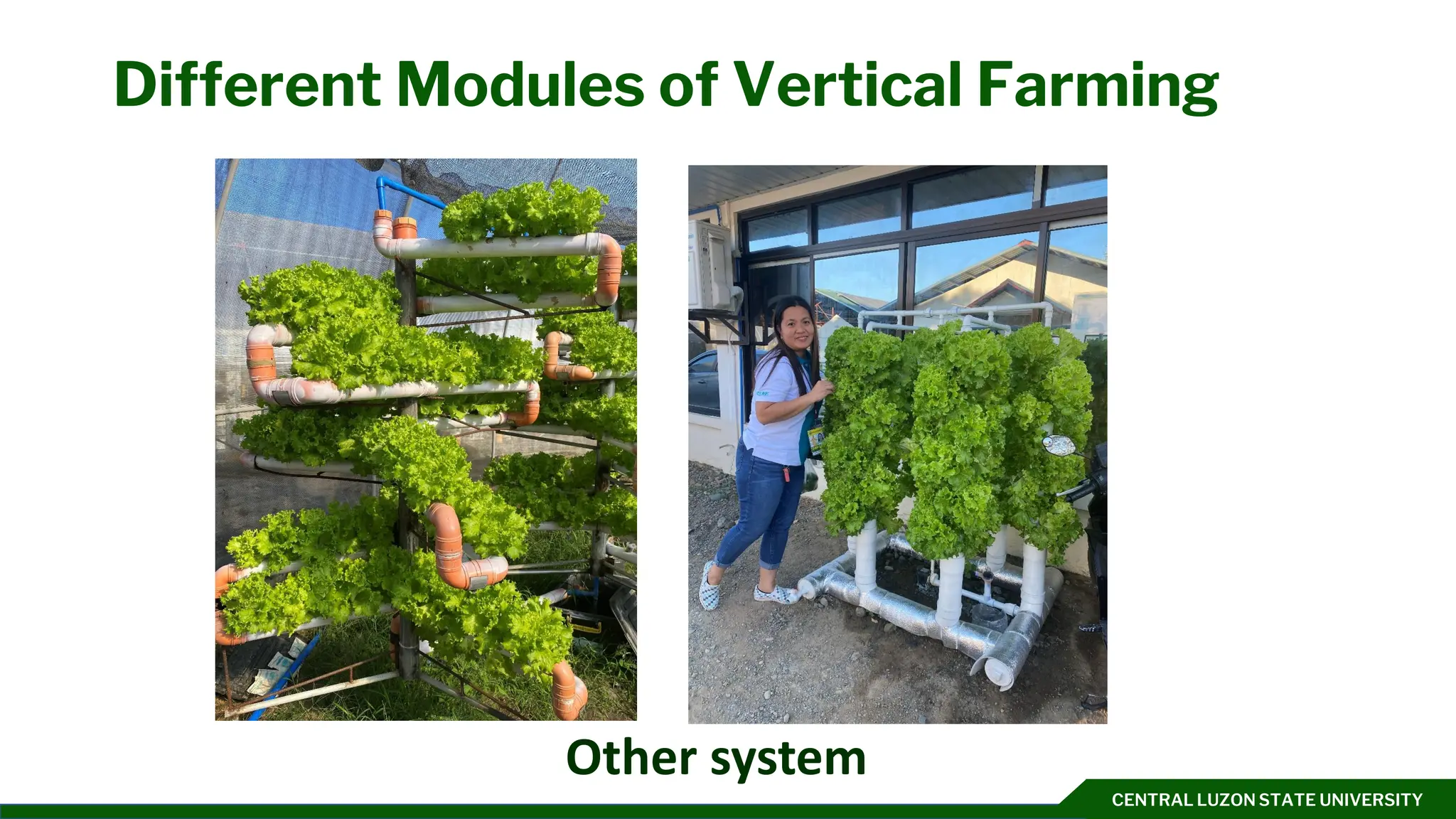 CENTRAL LUZON STATE UNIVERSITY
Different Modules of Vertical Farming
Other system
 