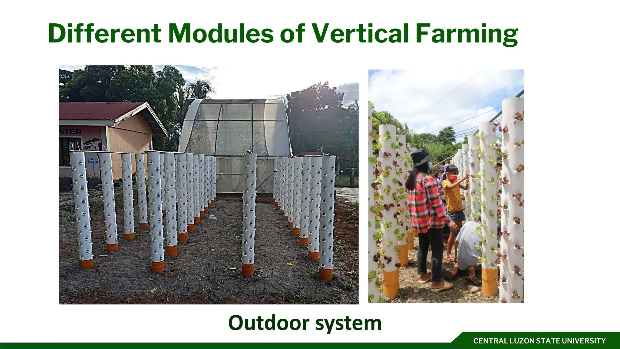 CENTRAL LUZON STATE UNIVERSITY
Different Modules of Vertical Farming
Outdoor system
 