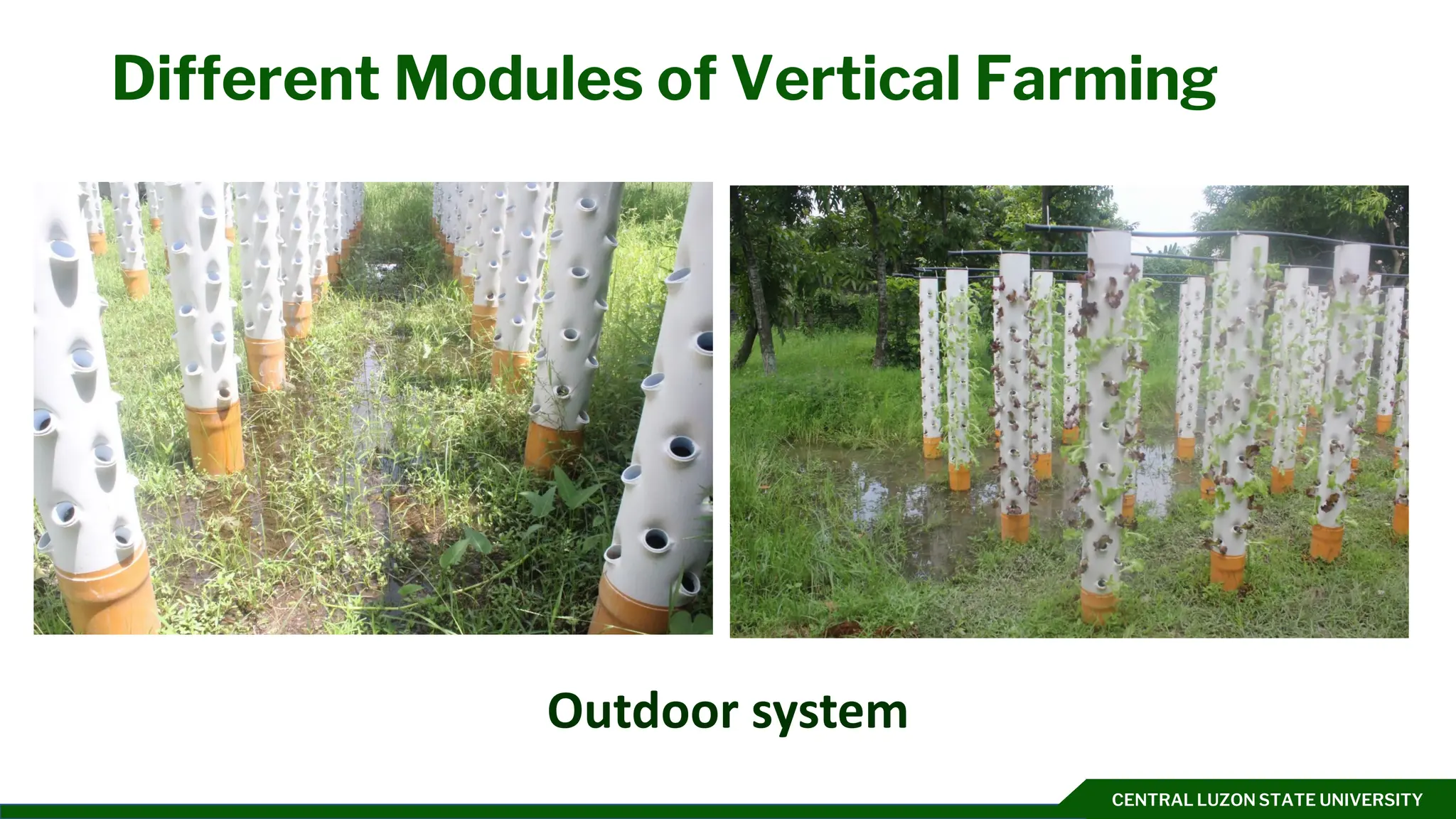 CENTRAL LUZON STATE UNIVERSITY
Different Modules of Vertical Farming
Outdoor system
 