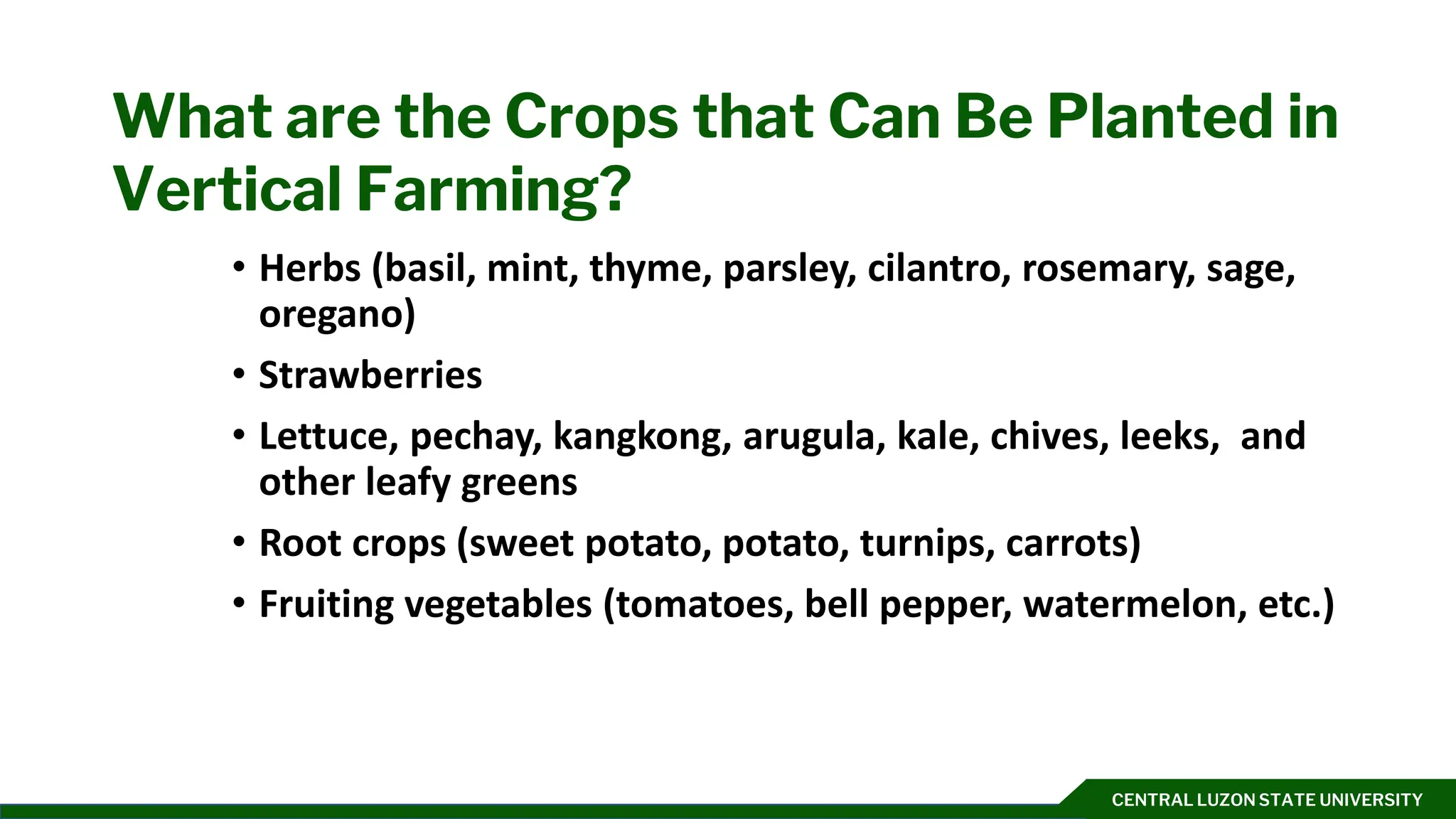 CENTRAL LUZON STATE UNIVERSITY
What are the Crops that Can Be Planted in
Vertical Farming?
• Herbs (basil, mint, thyme, parsley, cilantro, rosemary, sage,
oregano)
• Strawberries
• Lettuce, pechay, kangkong, arugula, kale, chives, leeks, and
other leafy greens
• Root crops (sweet potato, potato, turnips, carrots)
• Fruiting vegetables (tomatoes, bell pepper, watermelon, etc.)
 