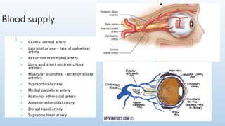 1. anatomy & physiology of eye in detail | PPTX