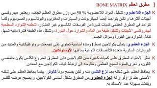 [
‫العظم‬ ‫ق‬V‫ر‬‫مط‬
BONE MATRIX
K
‫الالعضوي‬ ‫الجزء‬
% ‫ة‬R‫الالعضوي‬ ‫المواد‬ ‫ل‬R‫تشك‬ :
50
‫ي‬R‫هيدروكس‬ ‫بر‬R‫ويعت‬ ،‫الجاف‬ ‫م‬R‫العظ‬ ‫مطرق‬ ‫وزن‬ ‫ن‬R‫م‬
‫ا‬RR‫وكم‬ ‫وديوم‬RR‫والص‬ ‫يوم‬RR‫والبوتاس‬ ‫والمغنزيوم‬ ‫يترات‬RR‫والس‬ ‫بيكربونات‬RR‫ال‬ ً‫ا‬‫أيض‬ ‫د‬RR‫يتواج‬ ‫ن‬RR‫لك‬ ‫و‬ ‫ا‬RR‫أكثره‬ ‫بيتات‬RR‫أ‬
،‫المتبلور‬ ‫ر‬R‫ي‬‫غ‬ ‫يوم‬R‫س‬‫الكال‬ ‫فات‬R‫س‬‫الفو‬ ‫ن‬R‫م‬ ‫بيرة‬R‫ك‬ ‫كميات‬ ‫ي‬R‫م‬‫العظ‬ ‫المطرق‬ ‫ي‬R‫ف‬ ‫د‬R‫ج‬‫تتوا‬
‫طحية‬R‫س‬‫ال‬ ‫الشوارد‬ ‫ه‬R‫م‬‫تتحل‬
‫البلورة‬ ‫حول‬ ‫والشوارد‬ ‫الماء‬ ‫ن‬R‫م‬ ‫ة‬R‫ق‬‫طب‬ ‫ل‬R‫ك‬‫وتش‬ ‫بيتات‬R‫أل‬‫ا‬ ‫ي‬R‫س‬‫لهيدروك‬
‫هل‬R‫س‬‫ت‬ ‫ة‬R‫ي‬‫مائ‬ ‫قشرة‬ ‫ة‬R‫ق‬‫الطب‬ ‫هذه‬ ‫ل‬R‫ك‬‫وتش‬ ،
.‫الجسم‬ ‫وسوائل‬ ‫البلورة‬ ‫بين‬ ‫الشوارد‬ ‫تبادل‬
K
‫العضوي‬ ‫الجزء‬
‫ط‬R‫نم‬ ‫ن‬R‫بكوالجي‬ ‫ل‬R‫يتمث‬ :
I
‫ن‬R‫م‬ ‫د‬R‫والعدي‬ ‫ة‬R‫بروتوغليكاني‬ ‫تجمعات‬ ‫ى‬R‫عل‬ ‫تحتوي‬ ‫اسية‬R‫أس‬ ‫ومادة‬
‫فيها‬ ‫بما‬ ‫النوعية‬ ‫االلتصاقات‬ ‫متعددة‬ ‫السكرية‬ ‫البروتينات‬
‫األوستونكتين‬
.
K
‫ي‬RR‫حامض‬ ‫يكون‬ ‫س‬RR‫الكل‬ ‫المنزوع‬ ‫المطرق‬ ‫ن‬RR‫فإ‬ ‫ن‬RR‫الكوالجي‬ ‫ن‬RR‫م‬ ‫بيرة‬RR‫ك‬ ‫كميات‬ ‫ى‬RR‫عل‬ ‫المطرق‬ ‫الحتواء‬ ً‫ا‬‫نظر‬
.‫المعادن‬ ‫مع‬ ‫الكوالجين‬ ‫ألياف‬ ‫ارتباط‬ ‫إلى‬ ‫ومقاومته‬ ‫العظمي‬ ‫النسيج‬ ‫قساوة‬ ‫تعزى‬ ‫و‬ ،‫التلون‬
K
‫د‬R‫بع‬ ‫ه‬R‫شكل‬ ‫ى‬R‫عل‬ ‫م‬R‫العظ‬ ‫ظ‬R‫يحاف‬
‫س‬V‫الكل‬ ‫نزع‬
ً
‫ا‬‫مرن‬ ‫بح‬R‫يص‬ ‫ن‬R‫لك‬ ‫و‬ ‫ه‬R‫من‬
‫كالوتر‬
‫ه‬R‫شكل‬ ‫ى‬R‫عل‬ ‫م‬R‫العظ‬ ‫ظ‬R‫يحاف‬ ‫ا‬R‫بينم‬ .
‫ة‬R‫ل‬‫إزا‬ ‫و‬R‫أ‬ ‫نزع‬ ‫د‬R‫ن‬‫ع‬ ‫لي‬R‫ص‬‫األ‬
‫العضوي‬ ‫الجزء‬
‫ر‬R‫س‬‫للك‬ ‫ه‬R‫ض‬‫عر‬ ‫بح‬R‫ص‬‫ي‬ ‫و‬ ،‫ن‬R‫ي‬‫الكوالج‬ ‫اسي‬R‫س‬‫أ‬ ‫ل‬R‫ك‬‫بش‬ ‫المطرق‬ ‫ن‬R‫م‬
.‫به‬ ‫اإلمساك‬ ‫عند‬ ‫بسهولة‬ ‫ويتفتت‬
 