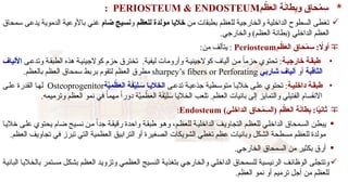 *
‫م‬ ْ
‫ظ‬َ
‫ع‬‫ال‬ ‫ة‬َ
‫ن‬‫طا‬ِ
‫ب‬‫و‬ ‫حاق‬ْ
‫م‬ ِ
‫س‬
PERIOSTEUM & ENDOSTEUM
:

‫من‬ ‫بطبقات‬ ‫للعظم‬ ‫والخارجية‬ ‫الداخلية‬ ‫السطوح‬ ‫تغطى‬
‫للعظم‬ ‫مولدة‬ ‫خاليا‬
‫و‬
‫ضام‬ ‫نسيج‬
‫سمحاق‬ ‫يدعى‬ ‫الدموية‬ ‫باألوعية‬ ‫غني‬
.‫والخارجي‬ )‫العظم‬ ‫(بطانة‬ ‫الداخلي‬ ‫العظم‬

‫م‬ ْ
‫ظ‬َ
‫ع‬‫ال‬ ‫حاق‬ْ
‫م‬ ِ
‫س‬ : ‫اًل‬‫و‬‫أ‬
Periosteum
:‫من‬ ‫يتألف‬ :
•
‫ة‬V‫خارجي‬ ‫ة‬V‫طبق‬
‫ى‬R‫وتدع‬ ‫ة‬R‫الطبق‬ ‫هذه‬ ‫ة‬R‫كوالجيني‬ ‫حزم‬ ‫تخترق‬ .‫ليفية‬ ‫وأرومات‬ ‫ة‬R‫كوالجيني‬ ‫ألياف‬ ‫ن‬R‫م‬ ً‫ا‬‫حزم‬ ‫تحتوي‬ :
‫األلياف‬
‫الثاقبة‬
‫أو‬
‫شاربي‬ ‫ألياف‬
sharpey’s fibers or Perforating
.‫بالعظم‬ ‫العظم‬ ‫سمحاق‬ ‫بربط‬ ‫لتقوم‬ ‫العظم‬ ‫مطرق‬
•
‫ة‬V‫داخلي‬ ‫ة‬V‫طبق‬
‫ى‬R‫تدع‬ ‫ة‬R‫جذعي‬ ‫طية‬R‫متوس‬ ‫ا‬R‫خالي‬ ‫ى‬R‫عل‬ ‫تحتوي‬ :
‫ة‬َّ
‫ِي‬
‫م‬ ْ
‫ظ‬َ
‫ع‬‫ال‬ ‫ة‬َ
‫ف‬ْ
‫ي‬ِ
‫ل‬ َ
V‫س‬ ‫ا‬V‫الخالي‬
Osteoprogenitor
‫ى‬R‫عل‬ ‫القدرة‬ ‫ا‬R‫له‬
.‫وترميمه‬ ‫العظم‬ ‫نمو‬ ‫في‬ ً‫ا‬‫مهم‬ ً‫ا‬‫دور‬ ‫ة‬َّ
‫ِي‬
‫م‬ ْ
‫ظ‬َ
‫ع‬‫ال‬ ‫ة‬َ
‫ف‬ْ‫ي‬ِ‫ل‬َ
‫س‬ ‫الخاليا‬ ‫تلعب‬ .‫العظم‬ ‫بانيات‬ ‫إلى‬ ‫والتمايز‬ ‫الفتيلي‬ ‫االنقسام‬

( ‫م‬ ْ
‫ظ‬َ
‫ع‬‫ال‬ ‫ة‬َ
‫ن‬‫طا‬ِ
‫ب‬ :‫ا‬ً
‫ي‬‫ثان‬
)‫الداخلي‬ ‫حاق‬ْ
‫م‬ ِ
‫الس‬
Endosteum
:

‫ا‬R‫ي‬‫خال‬ ‫ى‬R‫ل‬‫ع‬ ‫يحتوي‬ ‫ضام‬ ‫يج‬R‫س‬‫ن‬ ‫ن‬R‫م‬ ً‫ا‬‫جد‬ ‫ة‬R‫ق‬‫رقي‬ ‫واحدة‬ ‫ة‬R‫ق‬‫طب‬ ‫و‬R‫ه‬‫و‬ ،‫م‬R‫ظ‬‫للع‬ ‫ة‬R‫ي‬‫الداخل‬ ‫ف‬R‫ي‬‫التجاو‬ ‫م‬R‫ظ‬‫للع‬ ‫ي‬R‫ل‬‫الداخ‬ ‫محاق‬R‫س‬‫ال‬ ‫ن‬R‫ط‬‫يب‬
.‫العظم‬ ‫تجاويف‬ ‫في‬ ‫تبرز‬ ‫التي‬ ‫العظمية‬ ‫الترابيق‬ ‫أو‬ ‫الصغيرة‬ ‫الشويكات‬ ‫تغطي‬ ‫عظم‬ ‫وبانيات‬ ‫الشكل‬ ‫مسطحة‬ ‫للعظم‬ ‫مولدة‬

.‫الخارجي‬ ‫السمحاق‬ ‫من‬ ‫بكثير‬ ‫أرق‬

‫ة‬R‫ي‬‫البان‬ ‫ا‬R‫ي‬‫بالخال‬ ‫تمر‬R‫س‬‫م‬ ‫ل‬R‫ك‬‫بش‬ ‫م‬R‫ظ‬‫الع‬ ‫د‬R‫ي‬‫وتزو‬ ‫ي‬R‫م‬‫العظ‬ ‫يج‬R‫س‬‫الن‬ ‫ة‬R‫ي‬‫بتغذ‬ ‫ي‬R‫ج‬‫والخار‬ ‫ي‬R‫ل‬‫الداخ‬ ‫محاق‬R‫س‬‫لل‬ ‫ية‬R‫س‬‫الرئي‬ ‫ف‬R‫ئ‬‫الوظا‬ ‫ى‬R‫ل‬‫وتتج‬
.‫العظم‬ ‫نمو‬ ‫أو‬ ‫ترميم‬ ‫أجل‬ ‫من‬ ‫للعظم‬
 