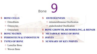 $ BONE CELLS
o Osteoblasts
o Osteocytes
o Osteoclasts
$ BONE MATRIX
$ PERIOSTEUM & ENDOSTEUM
$ TYPES OF BONE
o Lamellar Bone
o Woven Bone
9
Bone
$ OSTEOGENESIS
o intramembranous Ossification
o endochondral Ossification
$ BONE GROWTH, REMODELING, & REPAIR
$ METABOLIC ROLE OF BONE
$ JOINTS
$ SUMMARY OF KEY POINTS
 