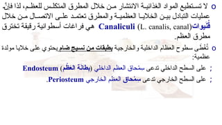 o
RRَّ
‫فإن‬ ‫لذا‬ ،‫م‬RR‫للعظ‬ ‫س‬RR‫المتكل‬ ‫المطرق‬ ‫خالل‬ ‫ن‬RR‫م‬ ‫االنتشار‬ ‫ة‬RR‫الغذائي‬ ‫المواد‬ ‫تطيع‬RR‫تس‬ ‫ال‬
‫خالل‬ ‫ن‬RR‫م‬ ‫ال‬RR‫االتص‬ ‫ى‬RR‫عل‬ ‫د‬RR‫تعتم‬ ‫والمطرق‬ ‫ة‬RR‫العظمي‬ ‫ا‬RR‫الخالي‬ ‫ن‬RR‫بي‬ ‫التبادل‬ ‫عمليات‬
‫يوات‬َ
‫ن‬ُ
‫ق‬
Canaliculi (L. canalis, canal)
‫تخترق‬ ‫ة‬R‫ق‬‫رقي‬ ‫طوانية‬R‫س‬‫أ‬ ‫فراغات‬ ‫ي‬R‫ه‬
.‫العظم‬ ‫مطرق‬
o
‫ة‬R‫ي‬‫والخارج‬ ‫ة‬R‫ي‬‫الداخل‬ ‫العظام‬ ‫طوح‬R‫س‬ ‫ى‬ Rَ
‫ط‬ْ
‫غ‬ُ
‫ت‬
‫ضام‬ ‫يج‬V‫س‬‫ن‬ ‫ن‬V‫م‬ ‫بطبقات‬
‫مولدة‬ ‫ا‬R‫ي‬‫خال‬ ‫ى‬R‫ل‬‫ع‬ ‫يحتوي‬
:‫عظمية‬
;
‫تدعى‬ ‫الداخلي‬ ‫السطح‬ ‫على‬
‫الداخلي‬ ‫العظم‬ ‫حاق‬ْ
‫م‬ِ
‫س‬
(
‫م‬ ْ
‫ظ‬َ
‫ع‬‫ال‬ ‫ة‬َ
‫ن‬‫طا‬ِ
‫ب‬
)
Endosteum
;
‫تدعى‬ ‫الخارجي‬ ‫السطح‬ ‫على‬
‫حاق‬ْ
‫م‬ ِ
‫س‬
‫الخارجي‬ ‫العظم‬
Periosteum
.
 