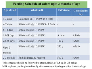 1...Feeding of Cattle and Buffalo - Feeding-Cattle-and-buffalo (5).pptx