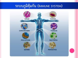 ระบบภูมิคุ้มกัน (IMMUNE SYSTEM)
 