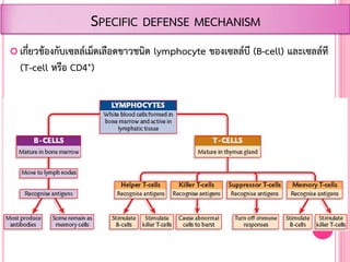  เกี่ยวข้องกับเซลล์เม็ดเลือดขาวชนิด lymphocyte ของเซลล์บี (B-cell) และเซลล์ที
(T-cell หรือ CD4+)
SPECIFIC DEFENSE MECHANISM
 