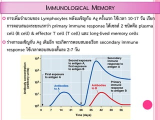  การเพิ่มจ้านวนของ Lymphocytes หลังเผชิญกับ Ag ครั้งแรก ใช้เวลา 10-17 วัน เรียก
การตอบสนองระยะแรกว่า primary immune response ได้เซลล์ 2 ชนิดคือ plasma
cell (B cell) & effector T cell (T cell) และ long-lived memory cells
 ร่างกายเผชิญกับ Ag เดิมอีก จะเกิดการตอบสนองเรียก secondary immune
response ใช้เวลาตอบสนองสั้นลง 2-7 วัน
IMMUNOLOGICAL MEMORY
 