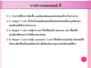  1. ร่างกายได้รับการติดเชื้อ และมีแอนติเจนแปลกปลอมเข้ามาในร่างกาย
 2. Helper T cell เข้าจับกับแอนติเจนของสิ่งแปลกปลอมเพื่อระบุชนิดของ
แอนติเจนที่เข้ามาในร่างกาย
 3. Helper T cell กระตุ้น B cell ให้เปลี่ยนเป็น plasma cell เพื่อหลั่ง
แอนติบอดีออกมาก้าจัดสิ่งแปลกปลอม
 4. Helper T cell กระตุ้น cytotoxic T cell ให้หลั่งสาร/เอนไซม์ ย่อยเซลล์ที่
เกิดการติดเชื้อหรือเซลล์ผิดปกติ เพื่อป้องกันการลุกลามไปยังเซลล์อื่นๆ
การท้างานของเซลล์ ที
 
