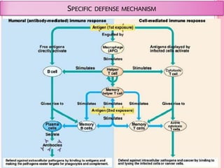SPECIFIC DEFENSE MECHANISM
 