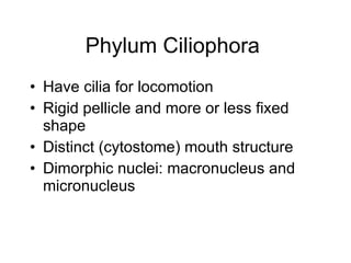 Phylum Ciliophora  Have cilia for locomotion  Rigid pellicle and more or less fixed shape  Distinct (cytostome) mouth structure  Dimorphic nuclei: macronucleus and micronucleus  