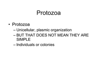 Protozoa  Protozoa  Unicellular, plasmic organization  BUT THAT DOES NOT MEAN THEY ARE SIMPLE  Individuals or colonies 