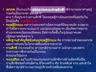 สรุปเอกภพและกาแล็กซี
• เอกภพ เป็นระบบใหญ่ที่สุด ประกอบด้วยกาแล็กซีจำนวนมหาศาลอยู่
รวมกันเป็นกระจุก และสสาร
ต่าง ๆ ที่อยู่ระหว่างกาแล็กซี โดยทฤษฎีกำเนิดเอกภพที่ยอมรับใน
ปัจจุบันคือ ทฤษฎีบิกแบง
• ทฤษฎีบิกแบง กล่าวว่าเอกภพกำเนิดจากจุดที่มีขนาดเล็ก มวลมาก
ทำให้มีความหนาแน่นมาก และอุณหภูมิสูงมาก เมื่อเกิดการขยาย
ตัวเอกภพจะมีอุณหภูมิลดลง มีสสารเกิดขึ้นในรูปอนุภาคและ
ปฏิอนุภาคชนิดต่าง ๆ
• หลักฐานสำคัญที่สนับสนุนทฤษฎีบิกแบง คือ การขยายตัวของเอกภพ
และการค้นพบไมโครเวฟพื้นหลังจากอวกาศ
• กาแล็กซี ประกอบด้วย ดาวฤกษ์จำนวนมาก เนบิวลา และสสาร
ระหว่างดาวซึ่งรวมกันเป็นระบบ
ด้วยแรงโน้มถ่วง
• ระบบสุริยะ อยู่ในบริเวณแขนของกาแล็กซีทางช้างเผือกซึ่งเป็น
กาแล็กซีชนิดกังหันมีคาน มีโครงสร้าง คือ นิวเคลียส จาน และฮาโล
ซึ่งมีดาวฤกษ์จำนวนมากอยู่บริเวณนิวเคลียสและจาน
 