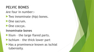 One Large Innotimate Object 1.THE FEMALE PELVIS AND FETAL SKULL REVIEW .pptx