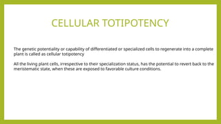 Cellular totipotency plant and animal cell.pptx