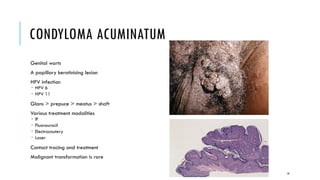 1. Pathology of the MALE GENITAL TRACT PATHOLOGY.pdf