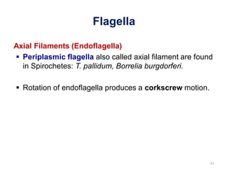 1. Introduction to Microbiology chapter 1-.pdf