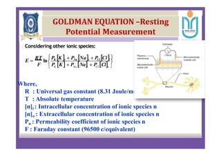 biomedical instrumentation with electrodes | PDF