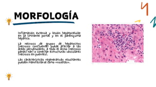 1.-Higado y vesicula resumen patologia de Robins .pdf